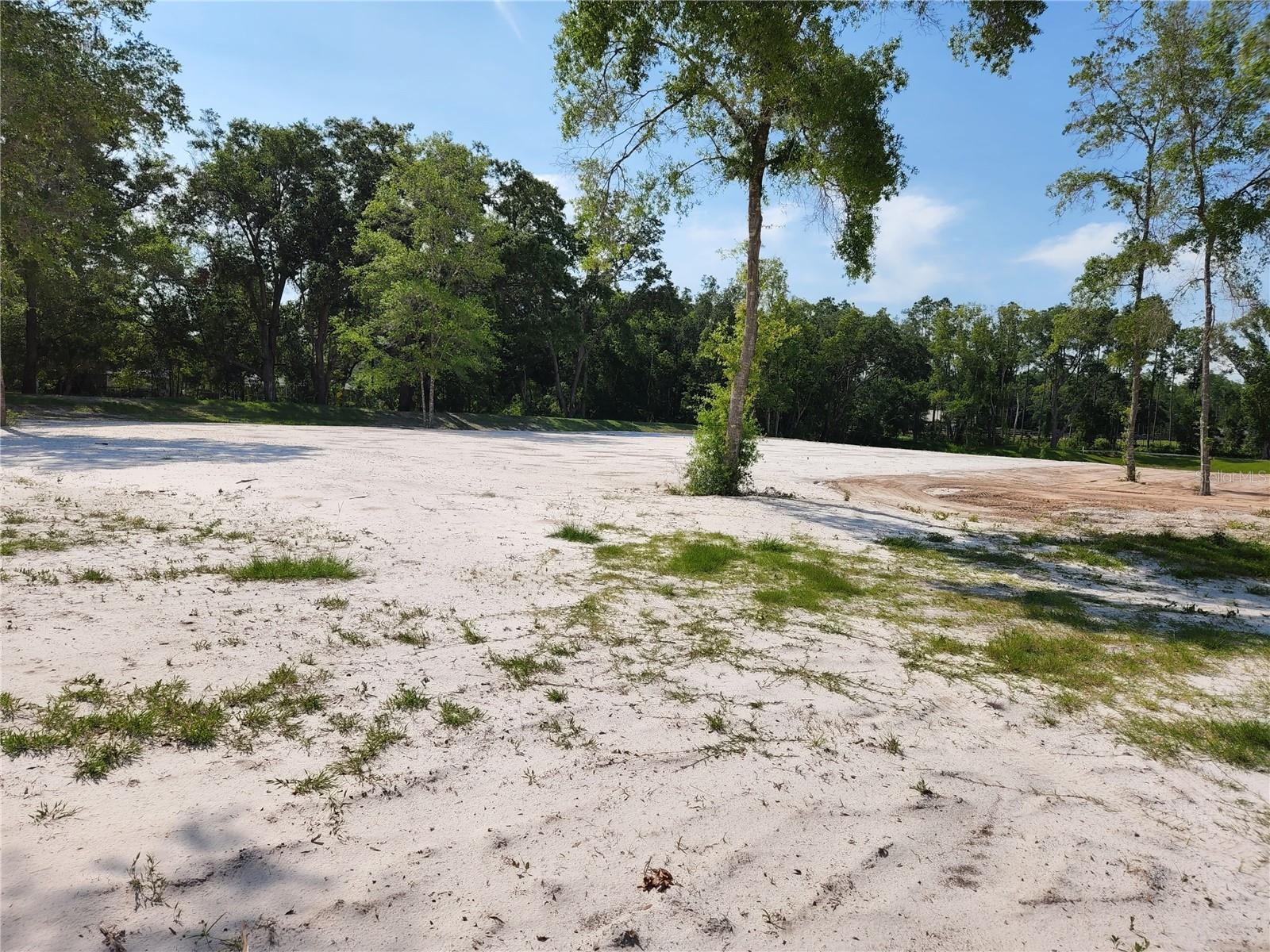 997 GRACE FARM DR, LUTZ, FL, 33549