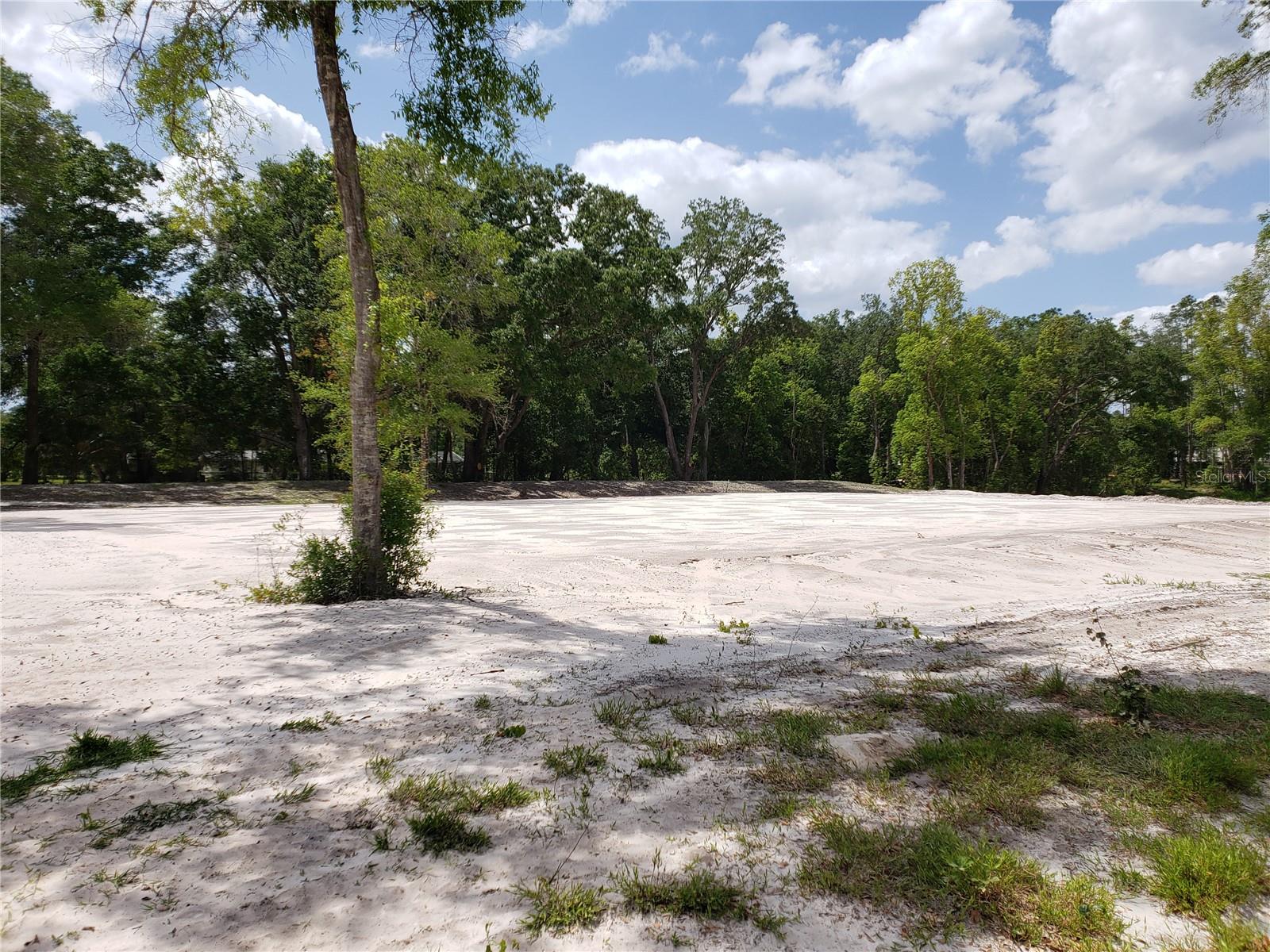 997 GRACE FARM DR, LUTZ, FL, 33549
