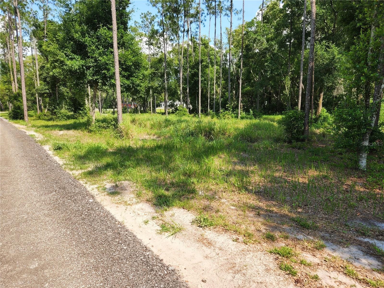 997 GRACE FARM DR, LUTZ, FL, 33549