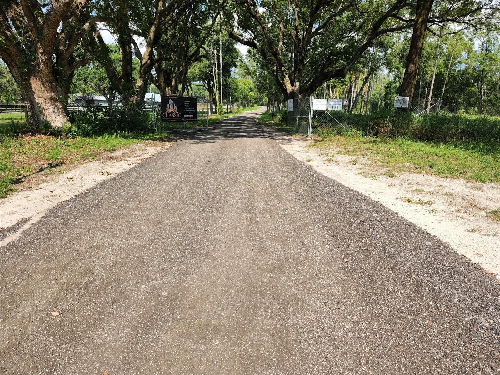 997 GRACE FARM DR, LUTZ, FL, 33549