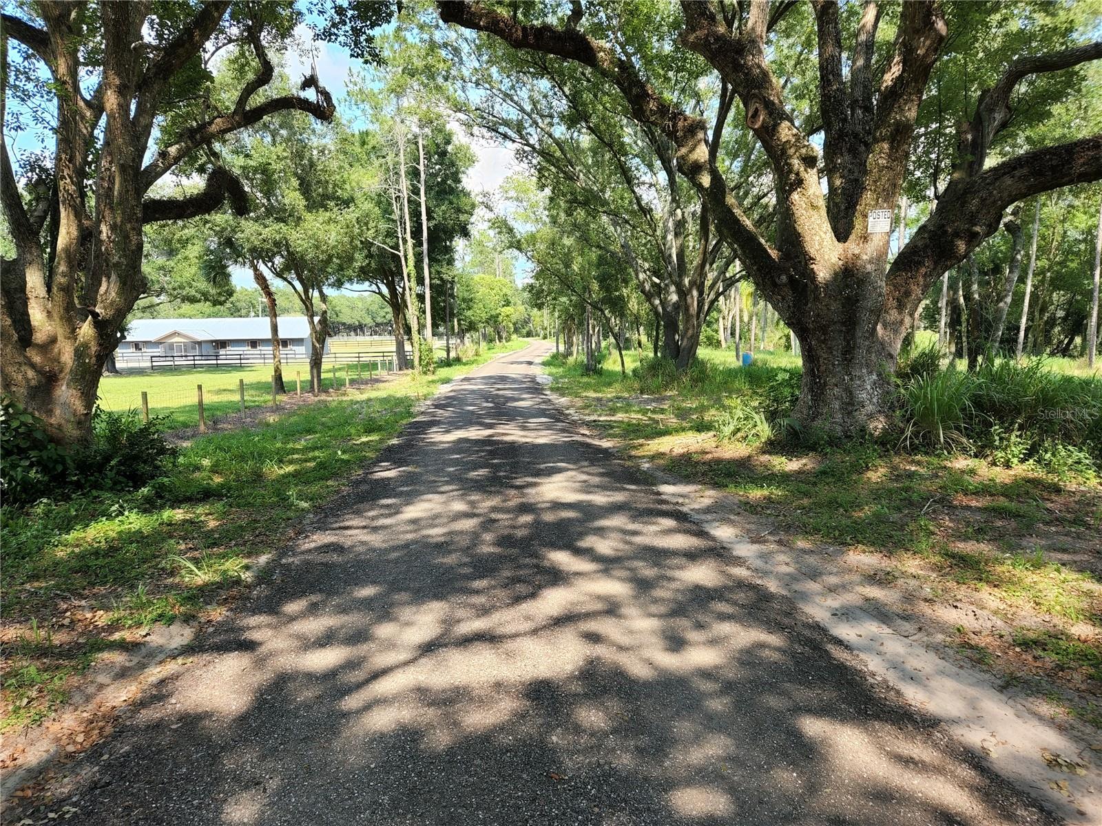 997 GRACE FARM DR, LUTZ, FL, 33549