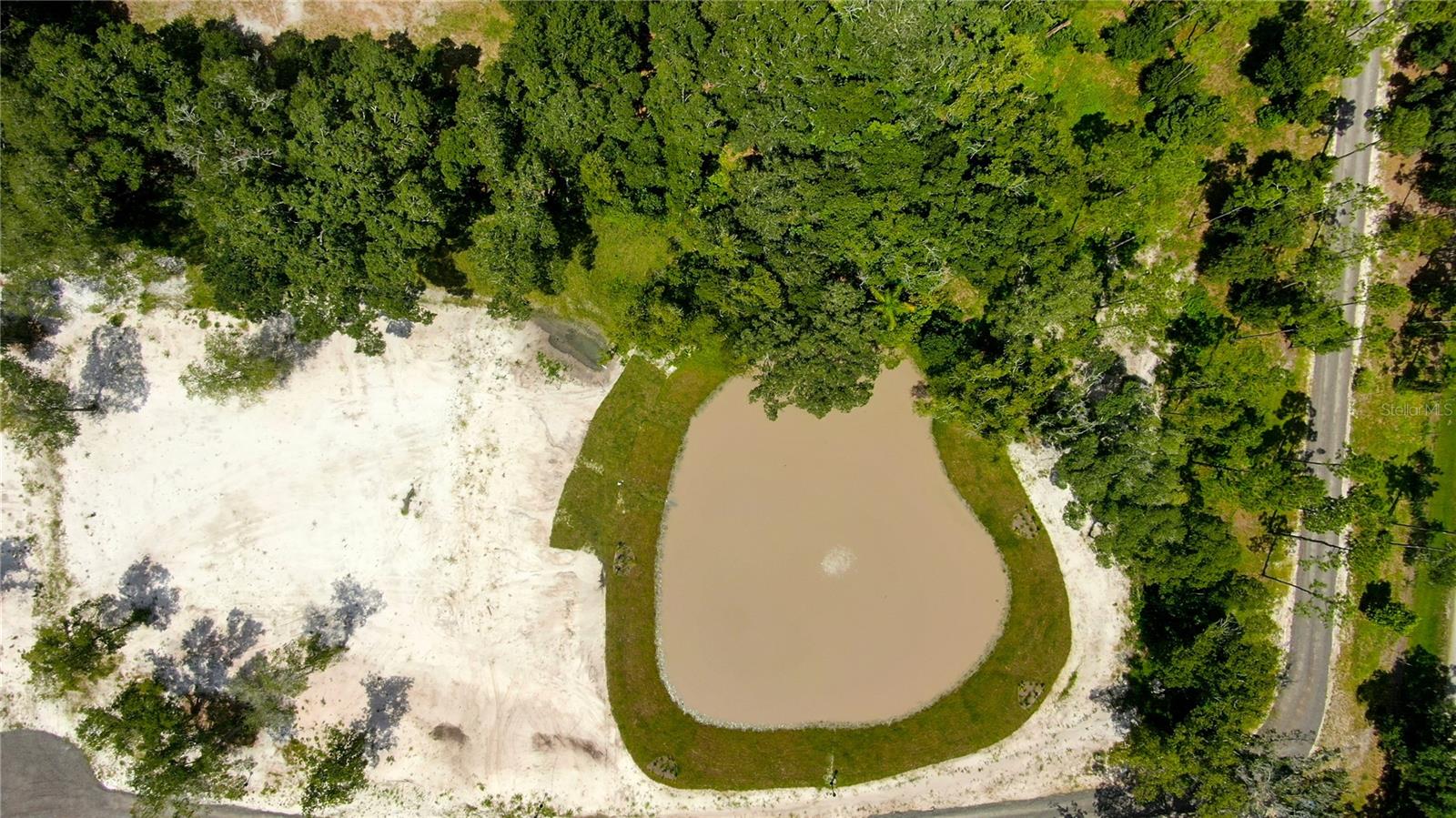 997 GRACE FARM DR, LUTZ, FL, 33549