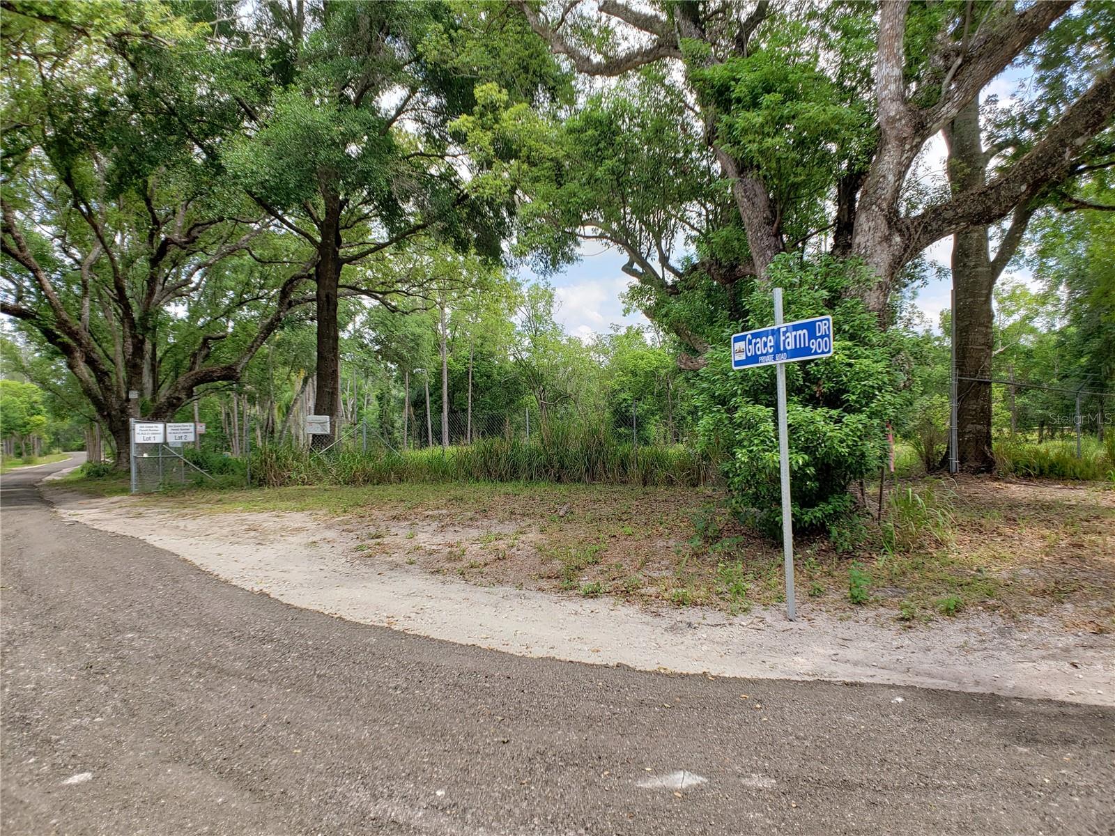 997 GRACE FARM DR, LUTZ, FL, 33549