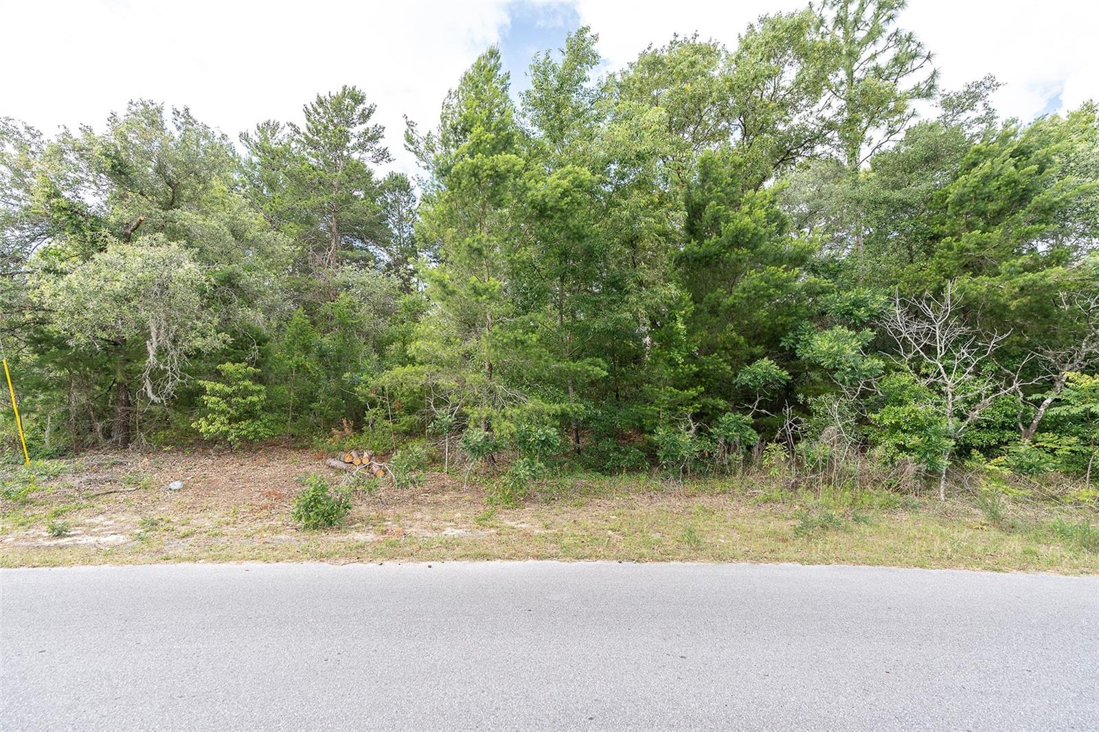 2291 FAYSON LN, SPRING HILL, FL, 34609