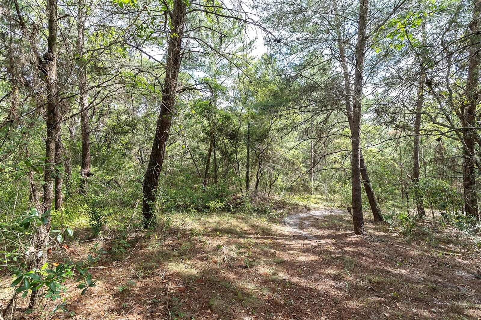 2291 FAYSON LN, SPRING HILL, FL, 34609