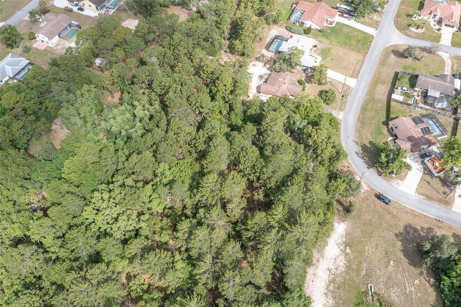 2291 FAYSON LN, SPRING HILL, FL, 34609