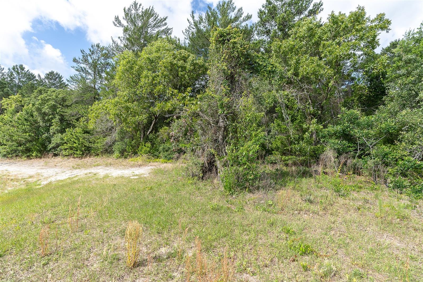 2291 FAYSON LN, SPRING HILL, FL, 34609