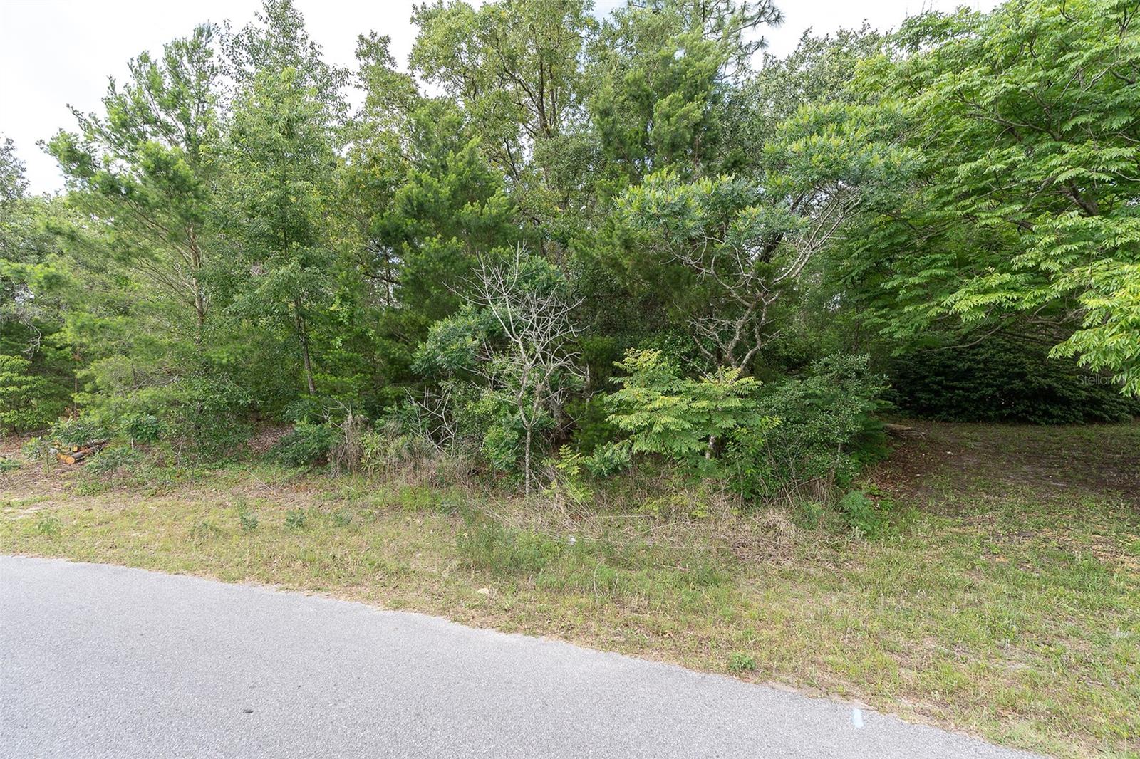 2291 FAYSON LN, SPRING HILL, FL, 34609