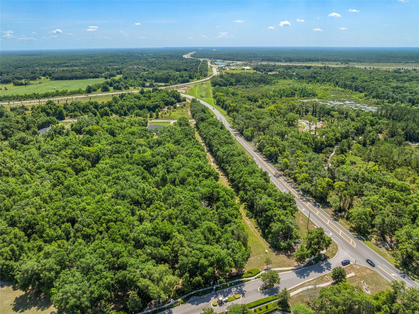 Lot 1 HOJIN ST, SORRENTO, FL, 32776