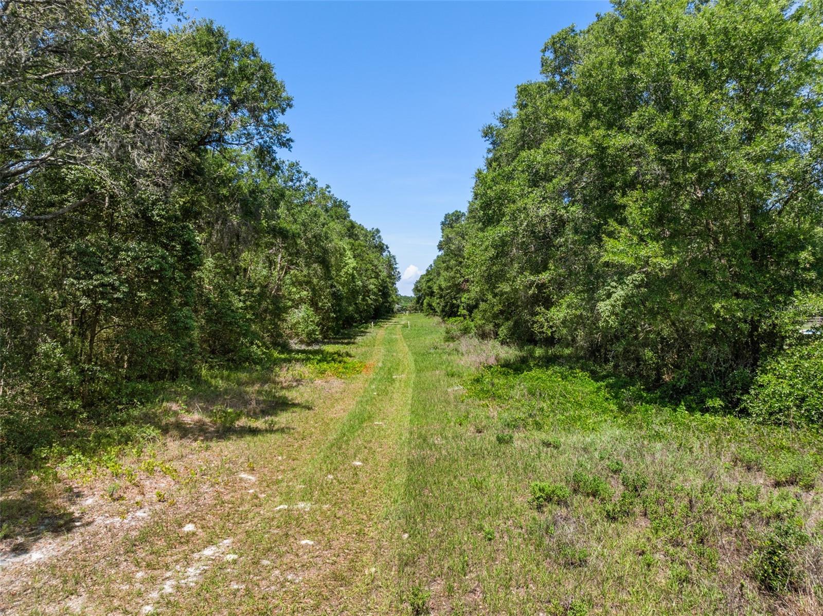 Lot 1 HOJIN ST, SORRENTO, FL, 32776