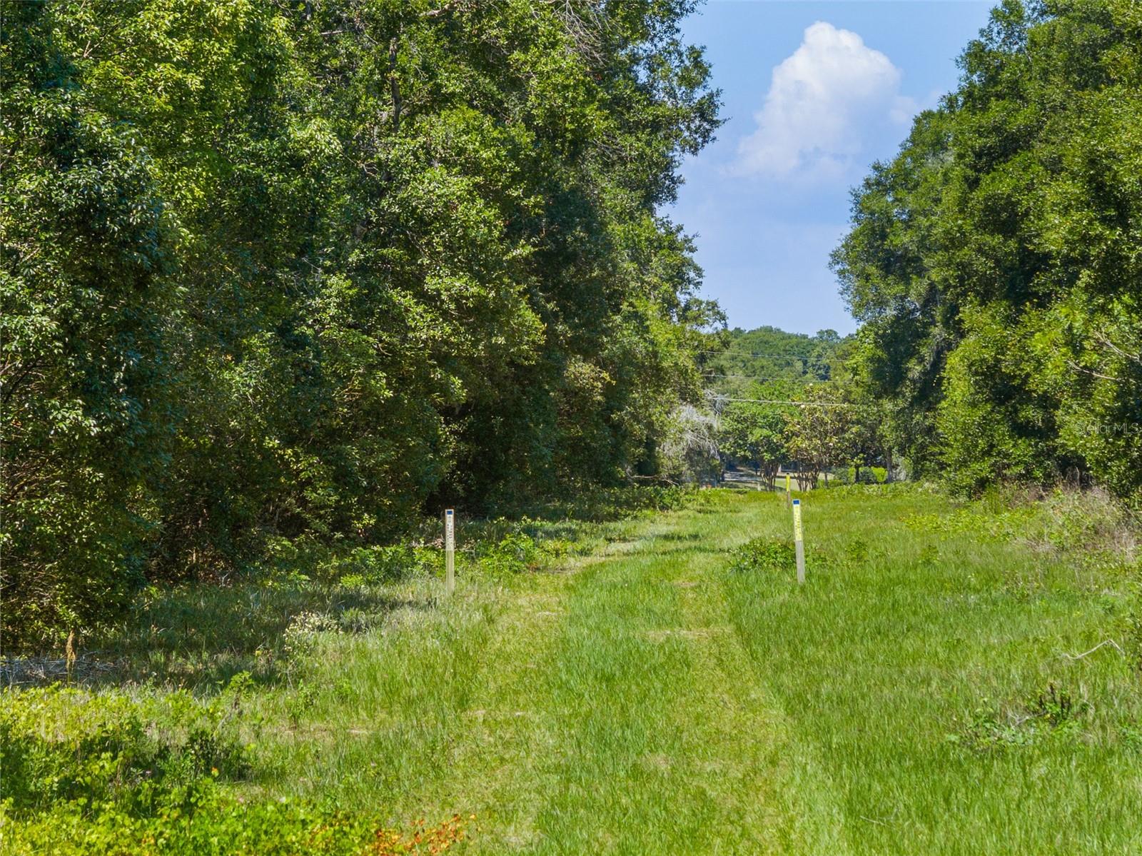 Lot 1 HOJIN ST, SORRENTO, FL, 32776