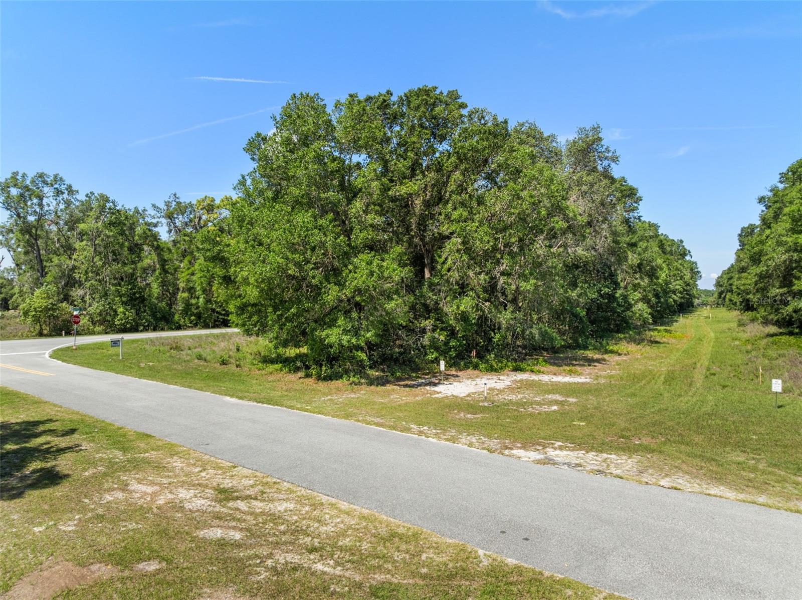 Lot 1 HOJIN ST, SORRENTO, FL, 32776