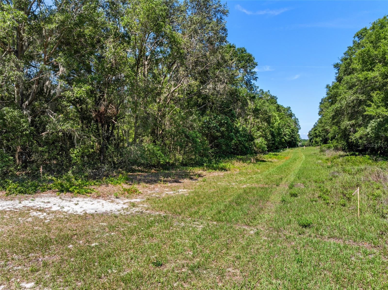 Lot 1 HOJIN ST, SORRENTO, FL, 32776