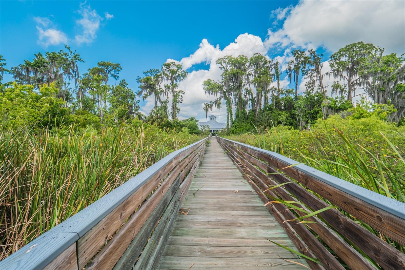 17707 SAWGRASS RUN, TAVARES, FL, 32778