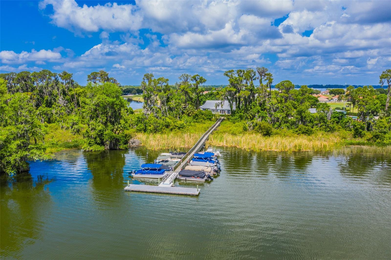 17707 SAWGRASS RUN, TAVARES, FL, 32778