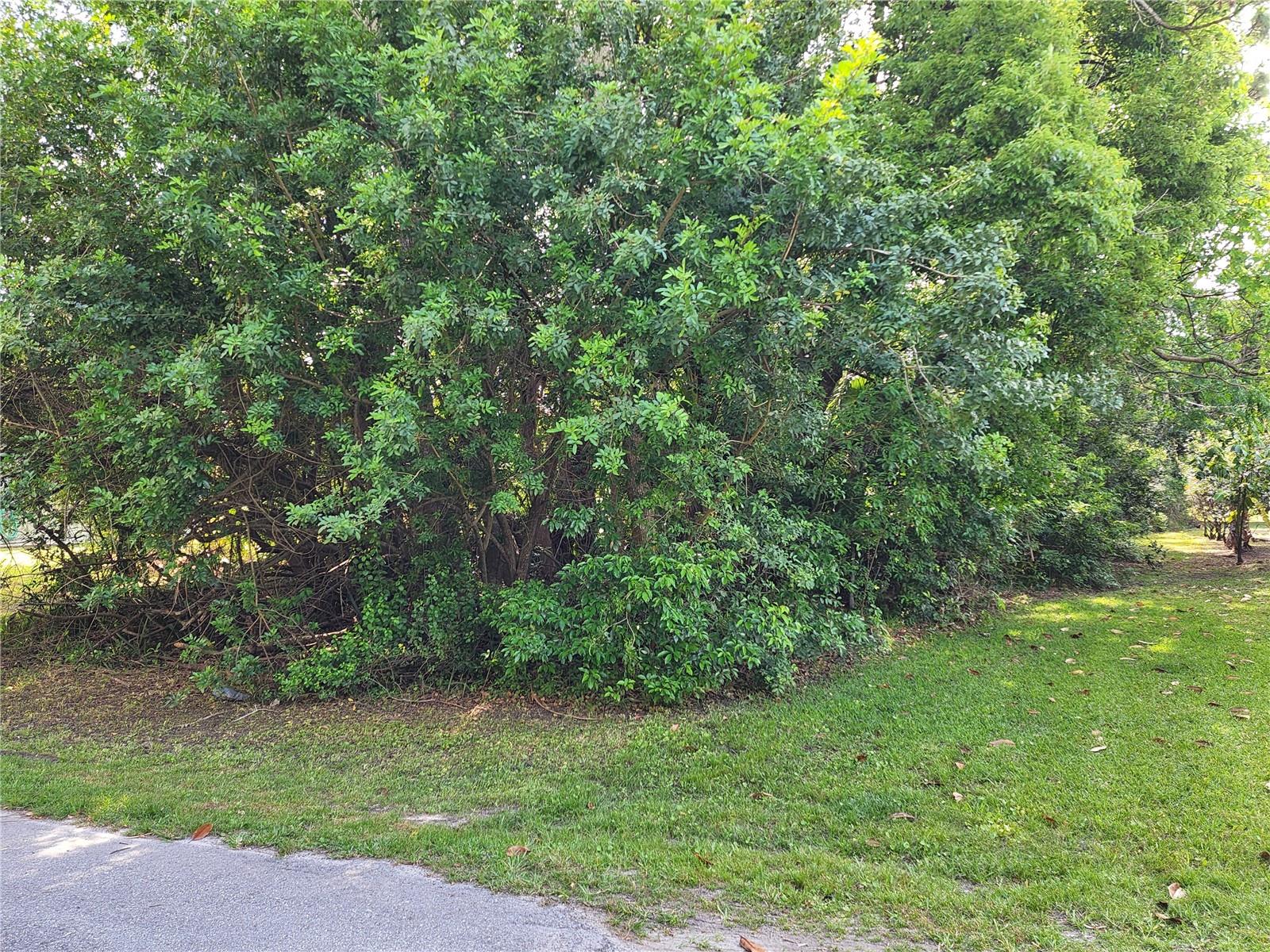 Lot 23 LYLE CIR, HUDSON, FL, 34667