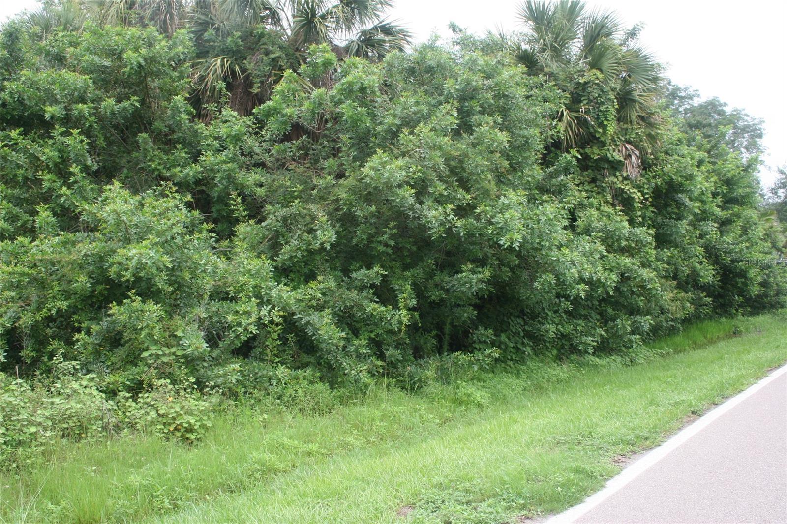 1224 ALTON RD, PORT CHARLOTTE, FL, 33952