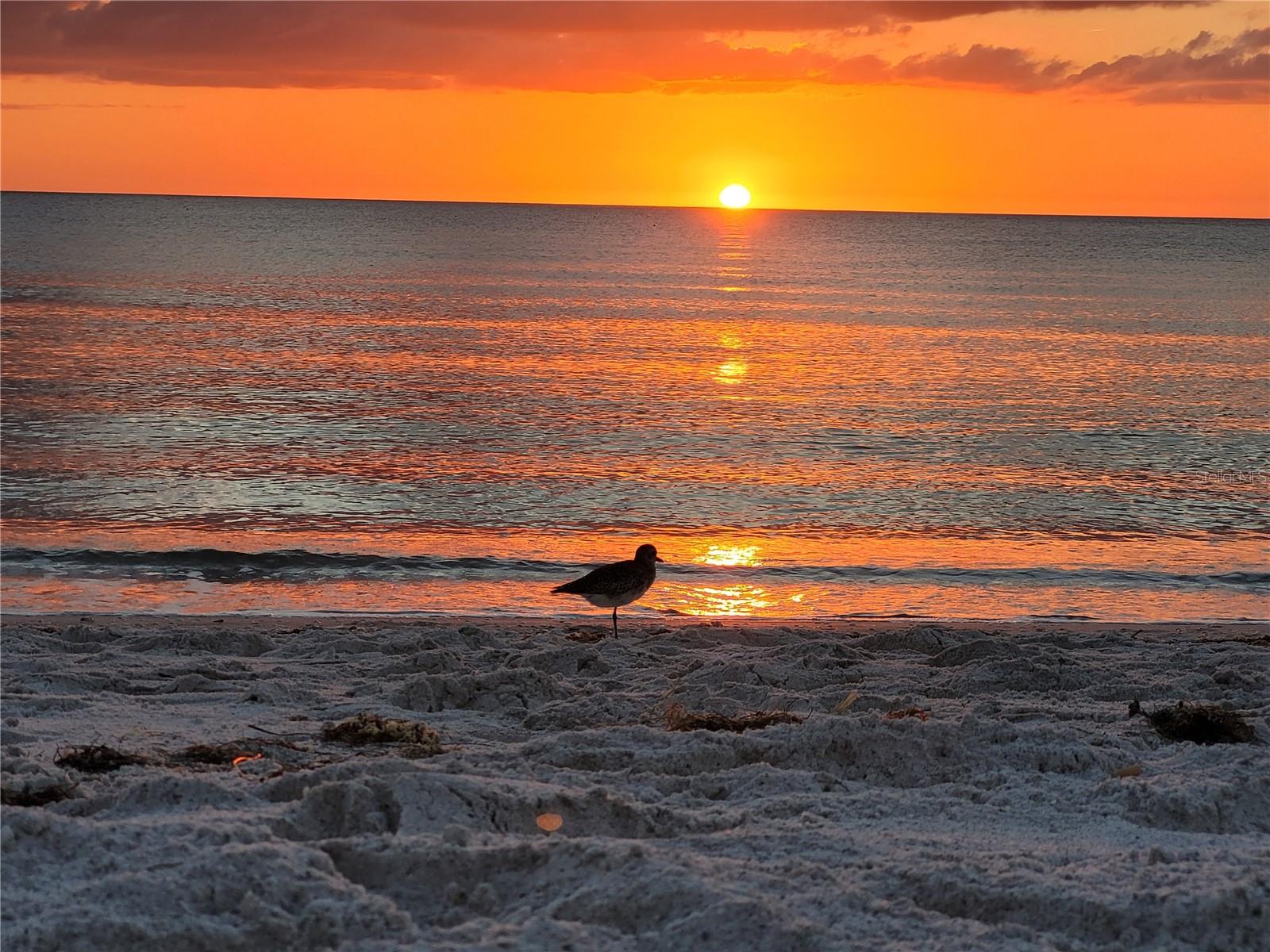 4325 GULF OF MEXICO DR #406, LONGBOAT KEY, FL, 34228