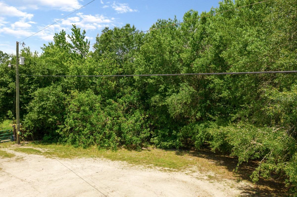 4002 WOODRIDGE DR, POLK CITY, FL, 33868