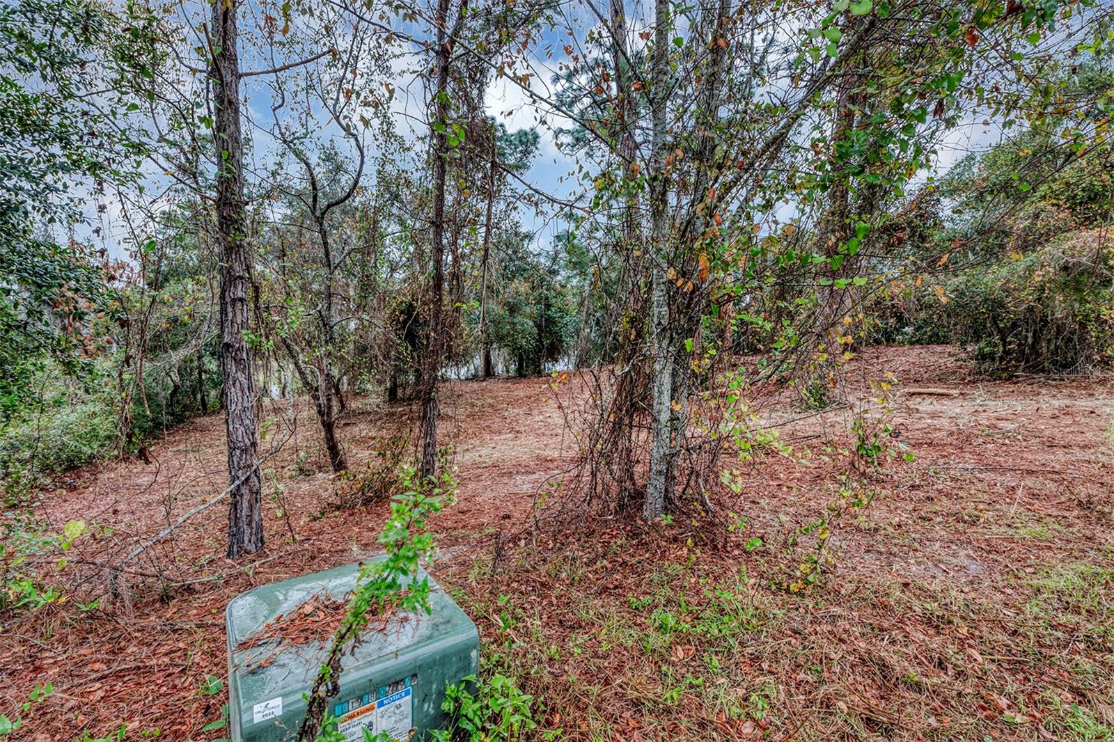 252 EAGLE ESTATES DR, DEBARY, FL, 32713