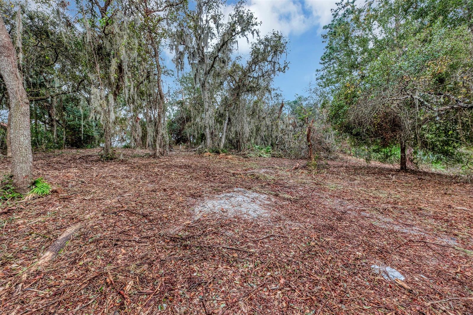 252 EAGLE ESTATES DR, DEBARY, FL, 32713