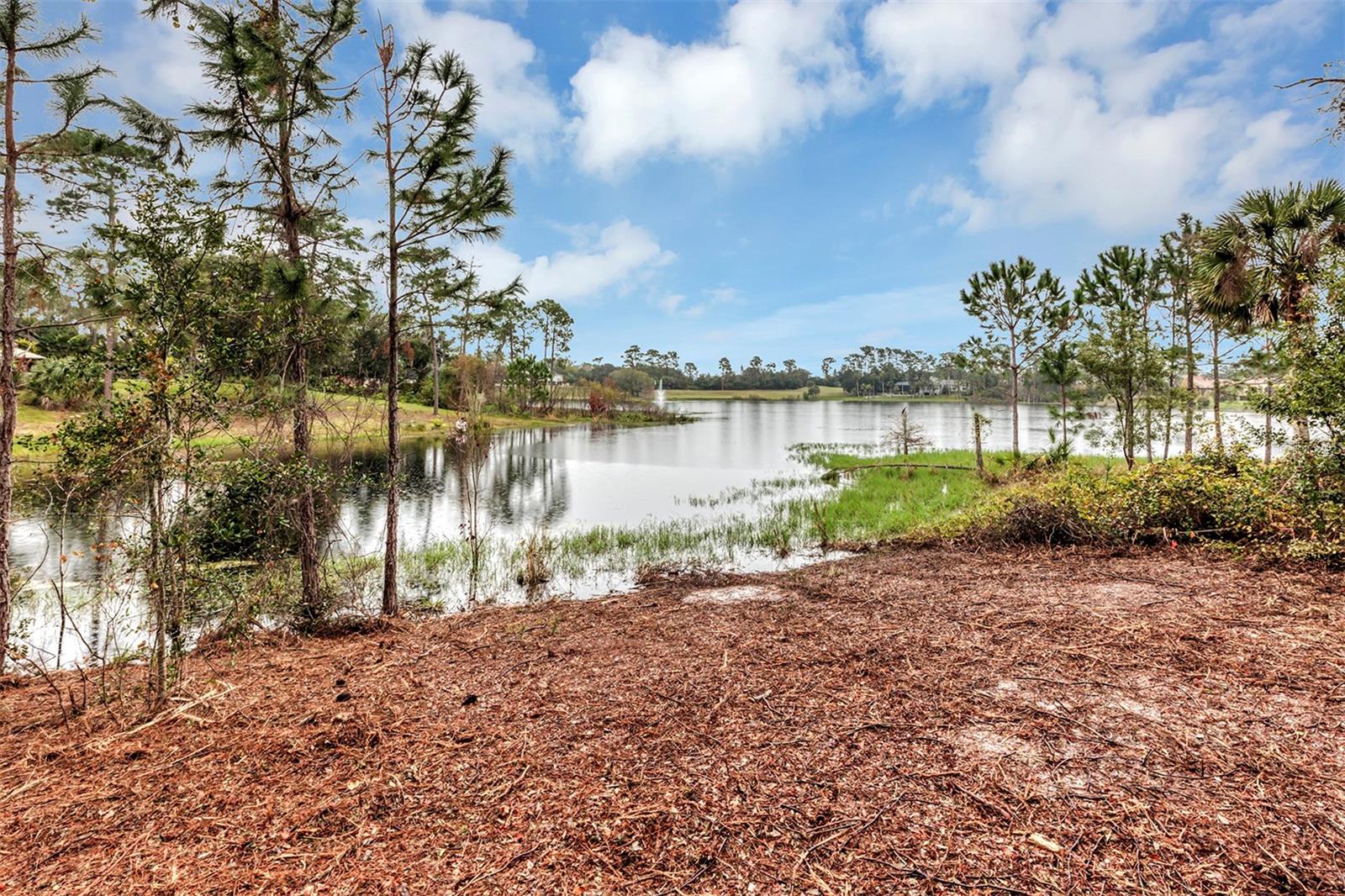 252 EAGLE ESTATES DR, DEBARY, FL, 32713