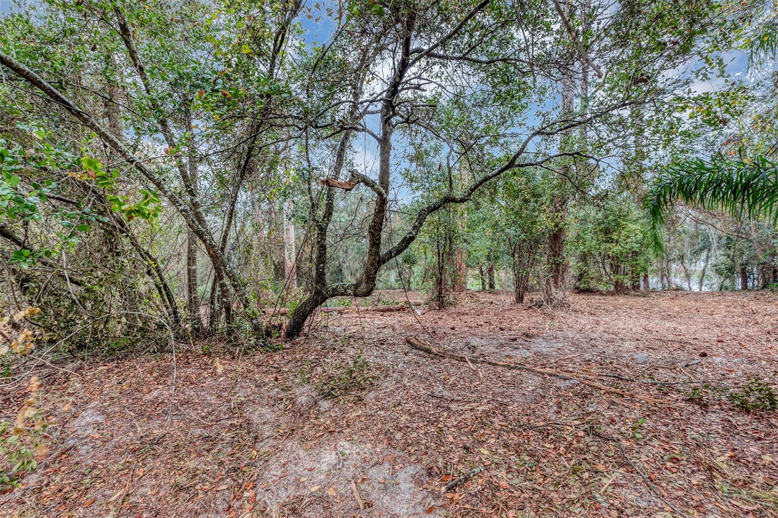 252 EAGLE ESTATES DR, DEBARY, FL, 32713