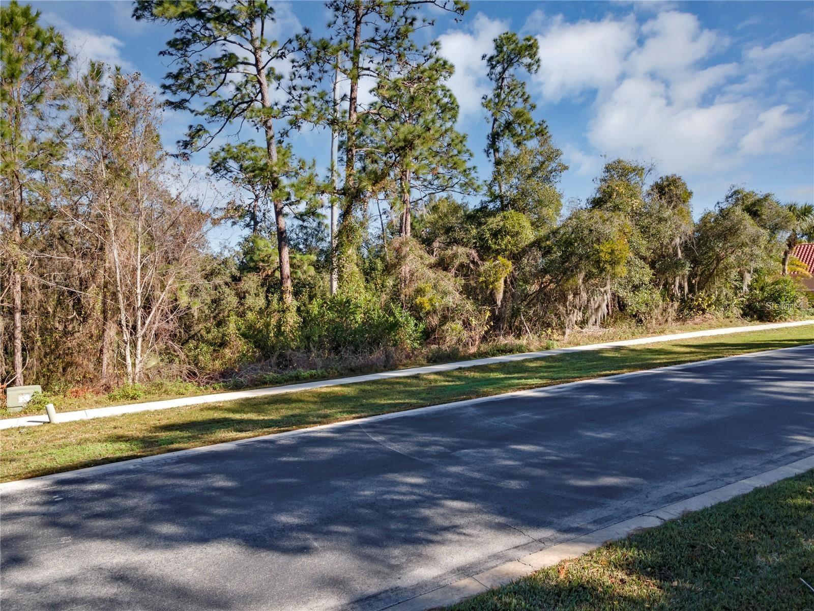 252 EAGLE ESTATES DR, DEBARY, FL, 32713