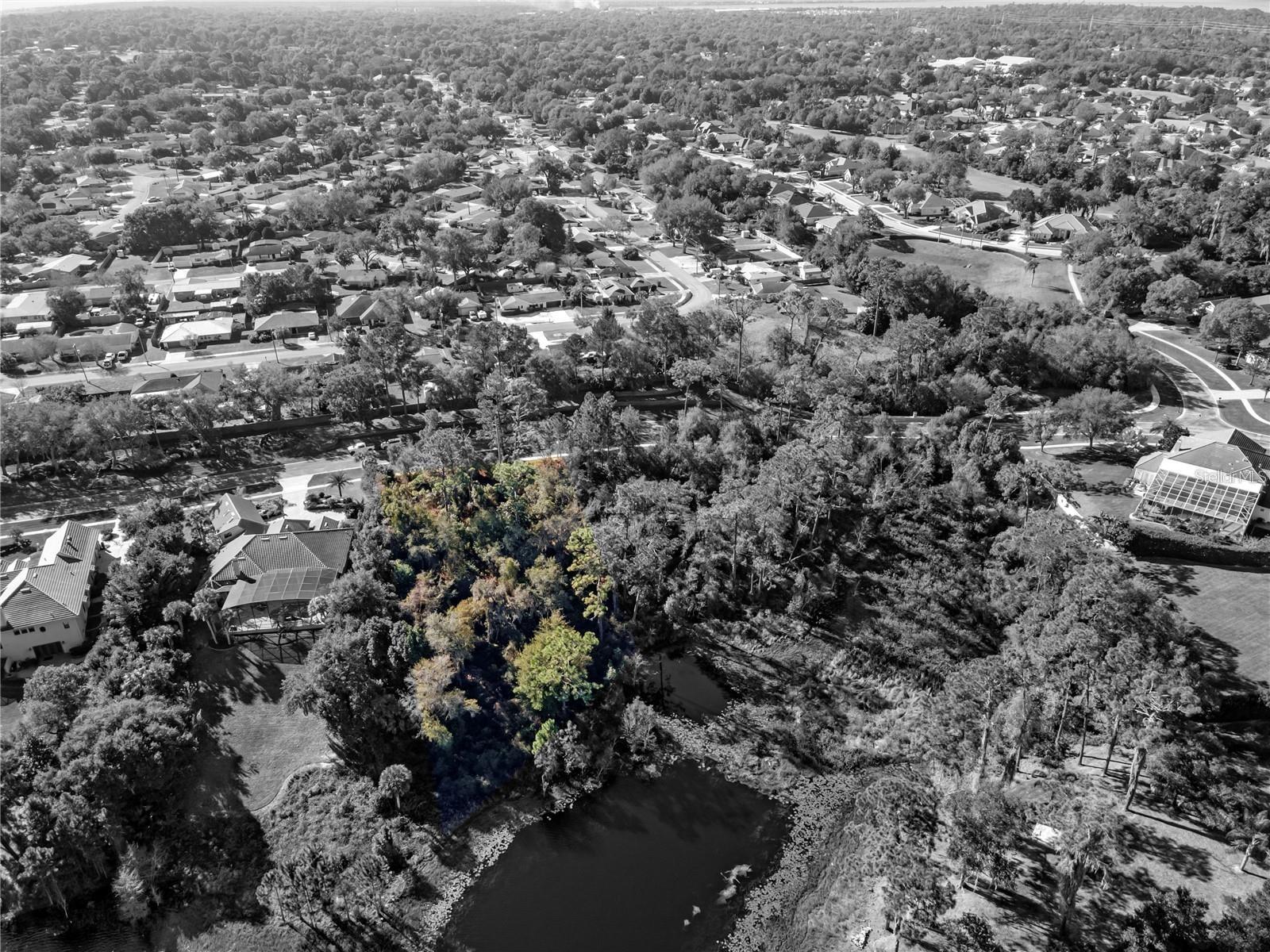 252 EAGLE ESTATES DR, DEBARY, FL, 32713