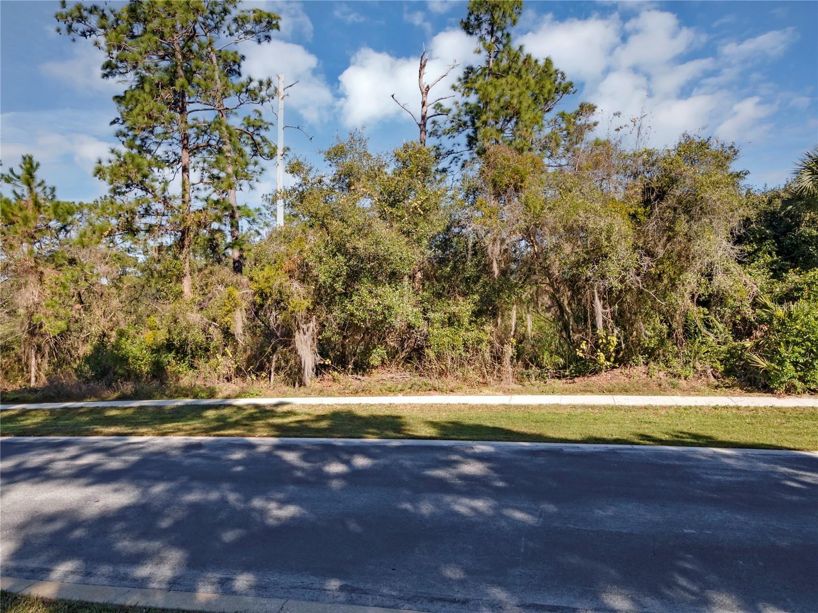 252 EAGLE ESTATES DR, DEBARY, FL, 32713