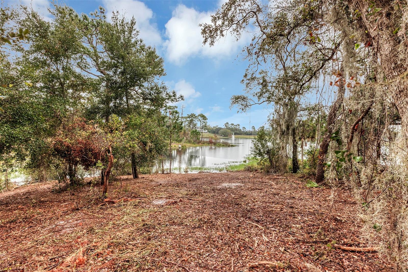 252 EAGLE ESTATES DR, DEBARY, FL, 32713