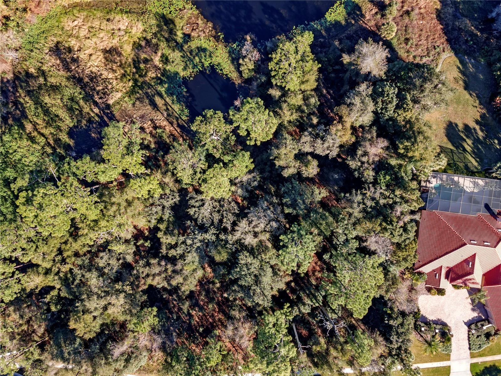 252 EAGLE ESTATES DR, DEBARY, FL, 32713