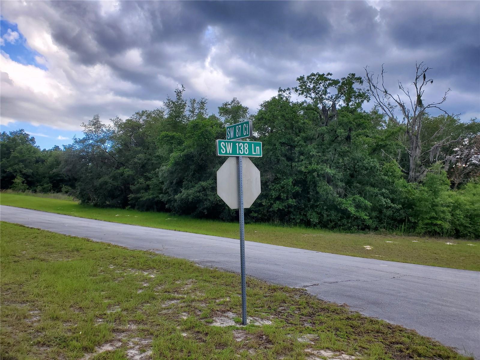 8650 SW 138 LN, OCALA, FL, 34473