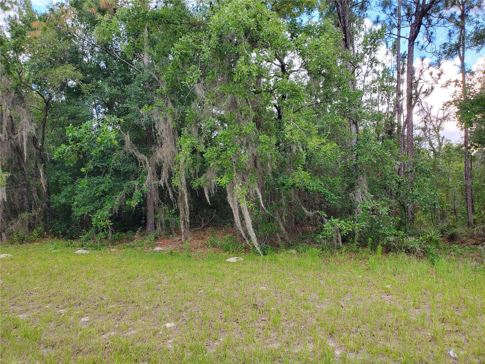 8650 SW 138 LN, OCALA, FL, 34473