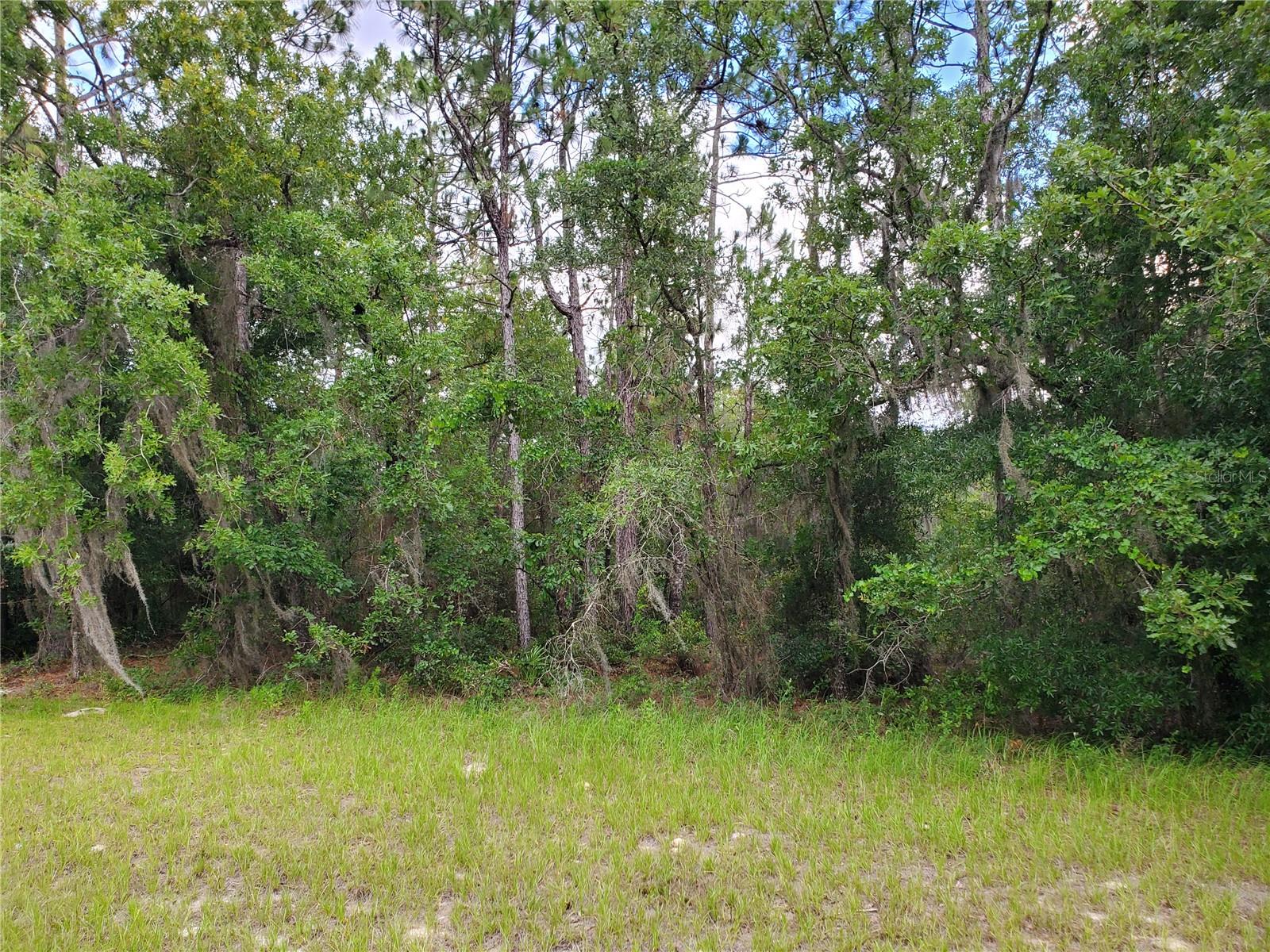 8650 SW 138 LN, OCALA, FL, 34473