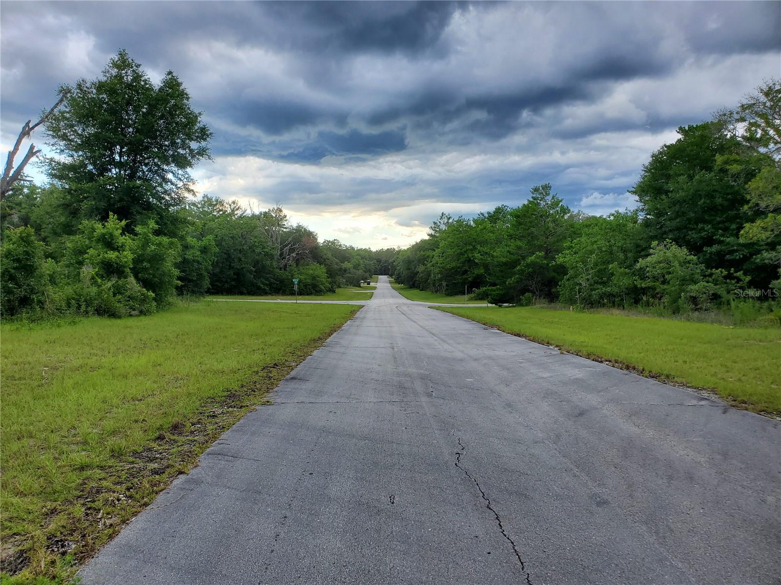 8650 SW 138 LN, OCALA, FL, 34473