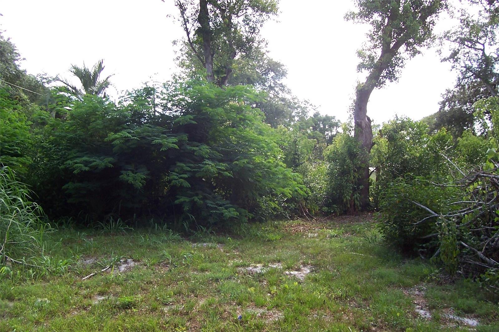 GRANT AVE, EUSTIS, FL, 32726