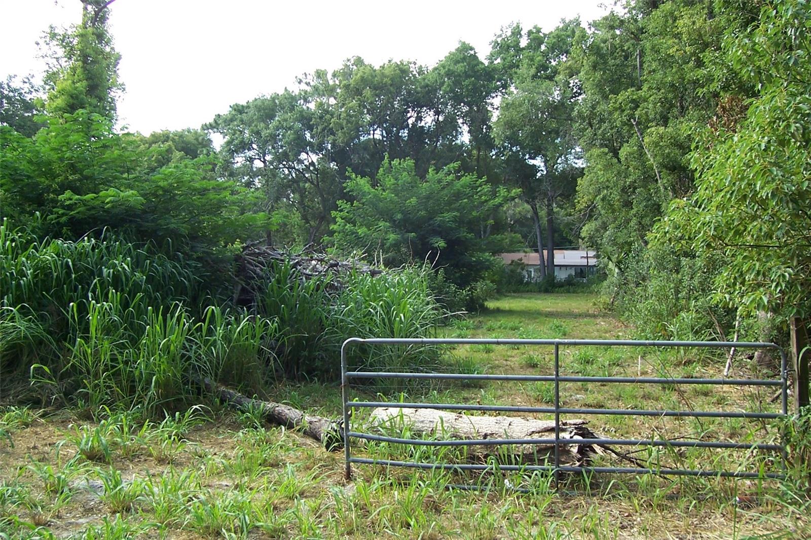 GRANT AVE, EUSTIS, FL, 32726