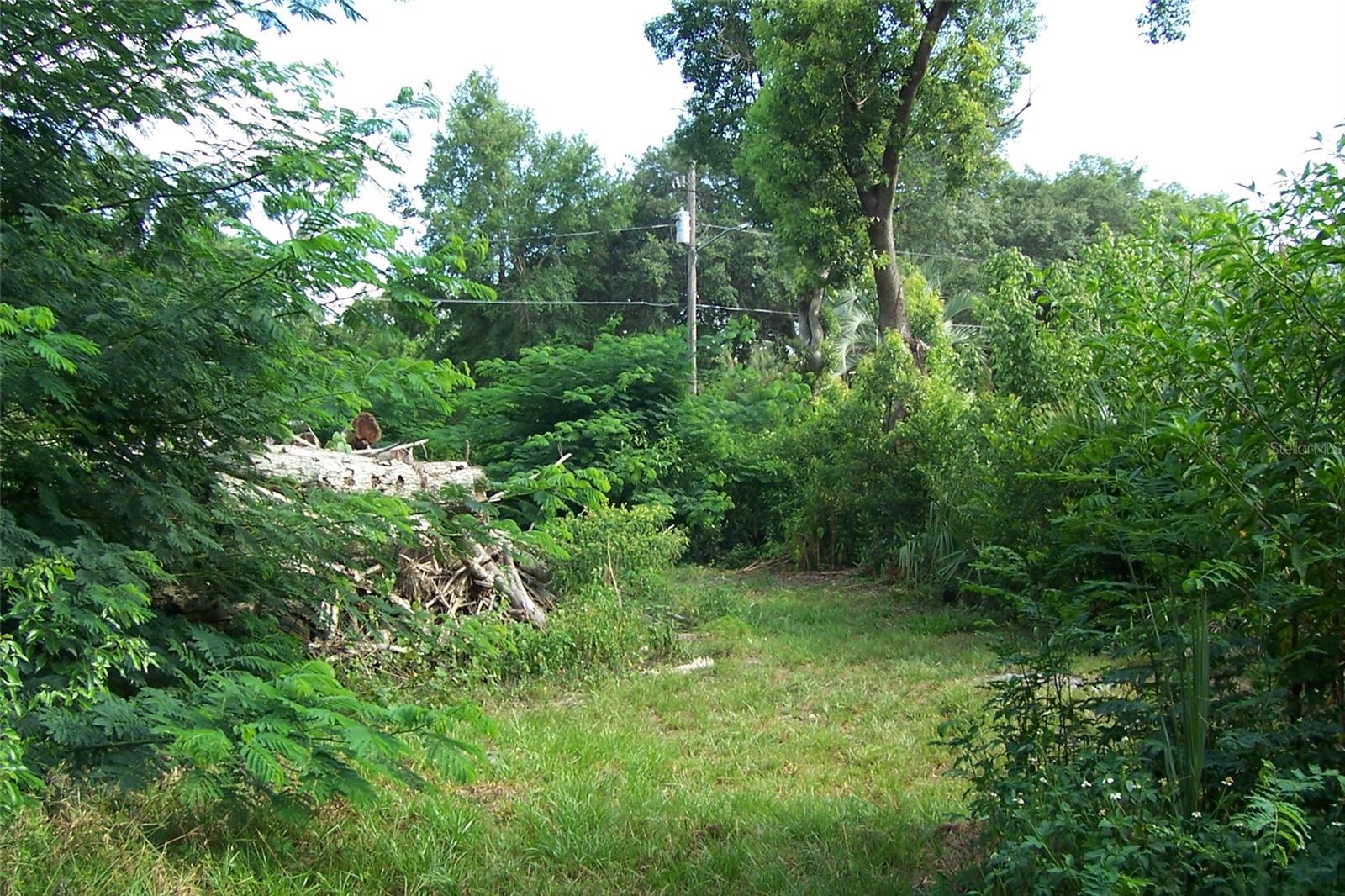 GRANT AVE, EUSTIS, FL, 32726