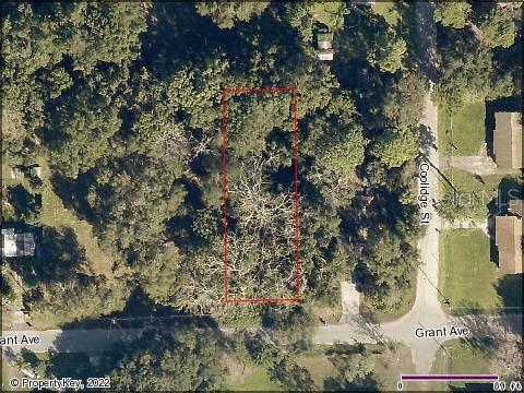 GRANT AVE, EUSTIS, FL, 32726
