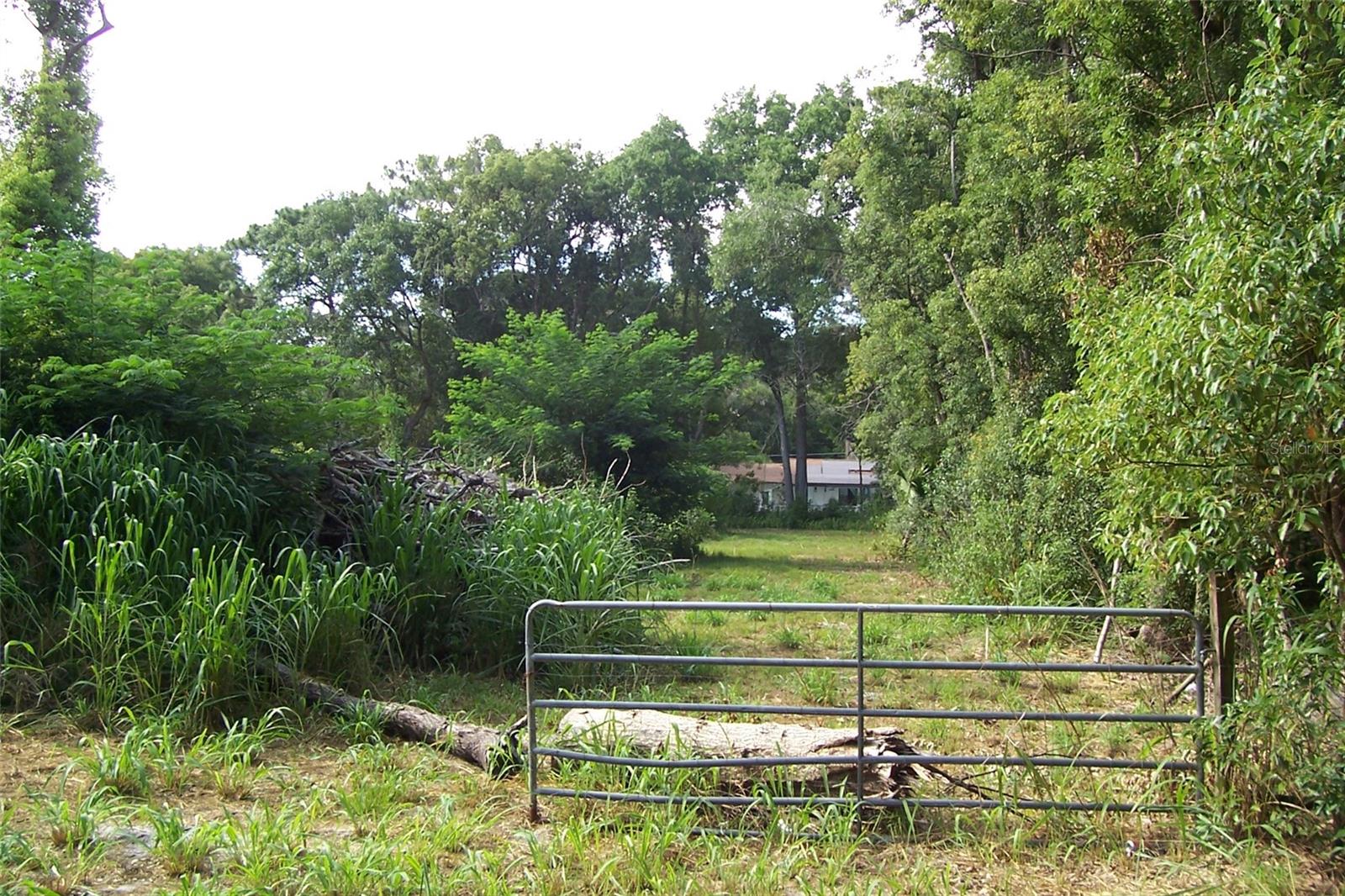 GRANT AVE, EUSTIS, FL, 32726