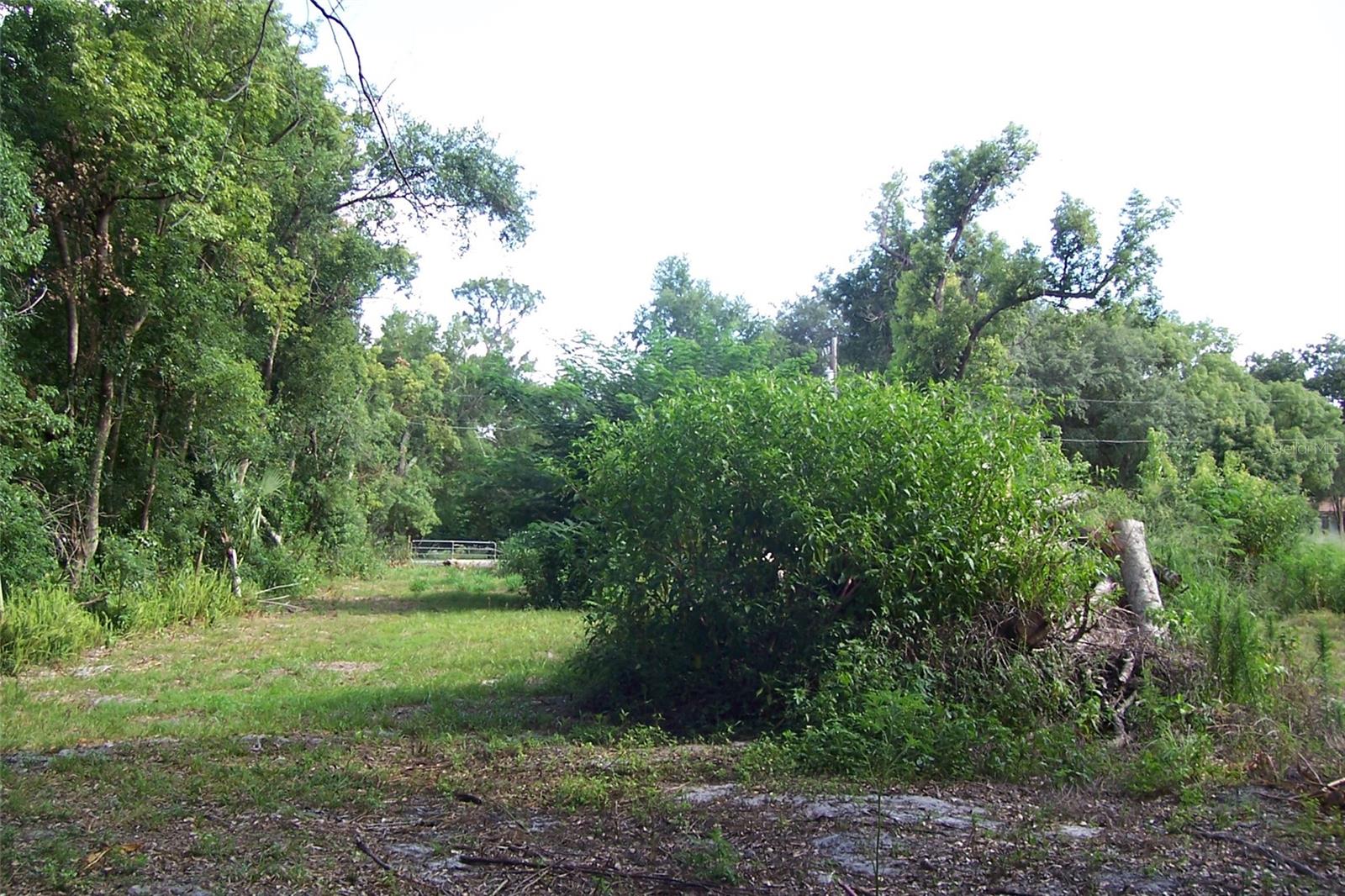GRANT AVE, EUSTIS, FL, 32726