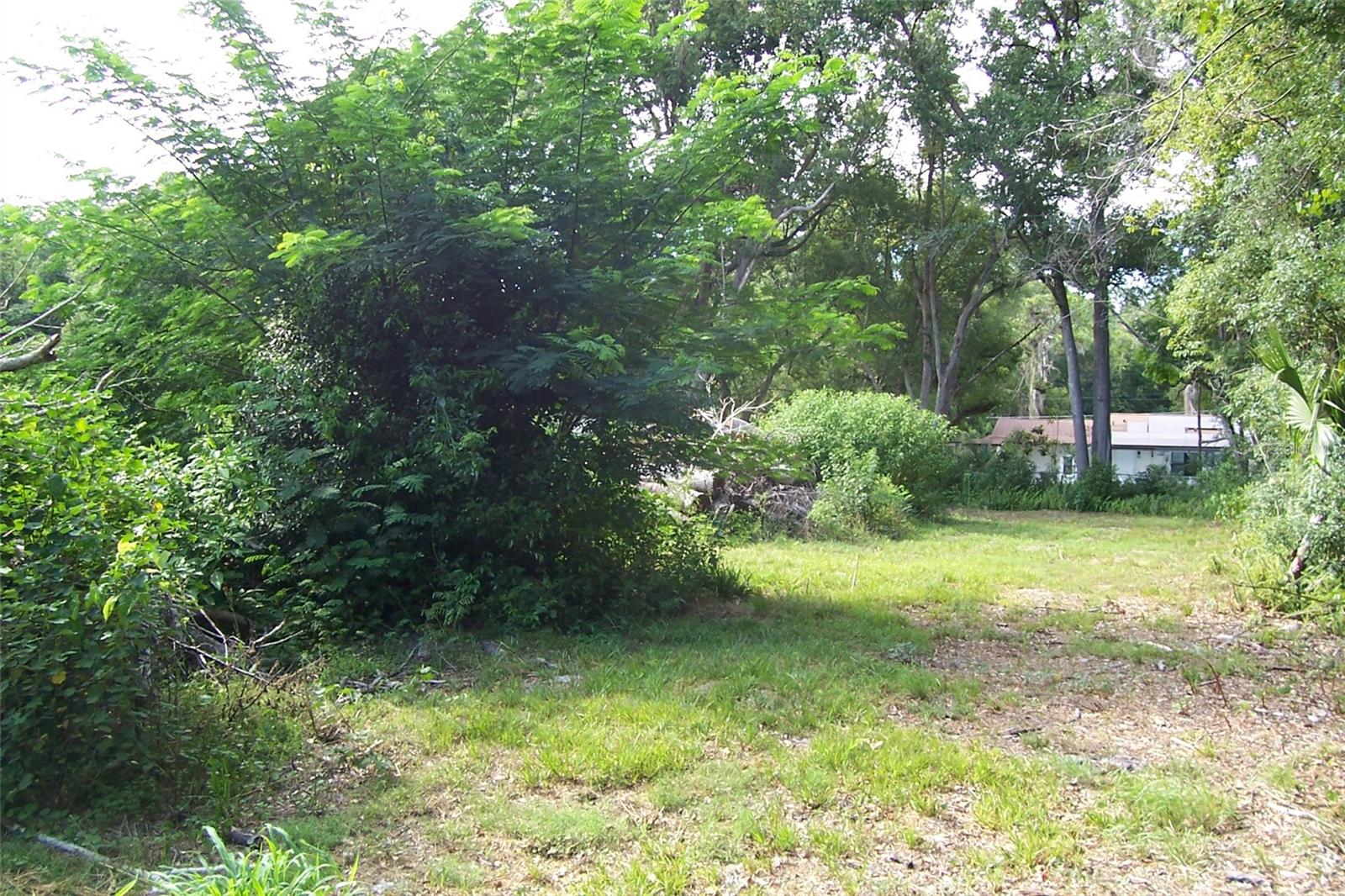GRANT AVE, EUSTIS, FL, 32726
