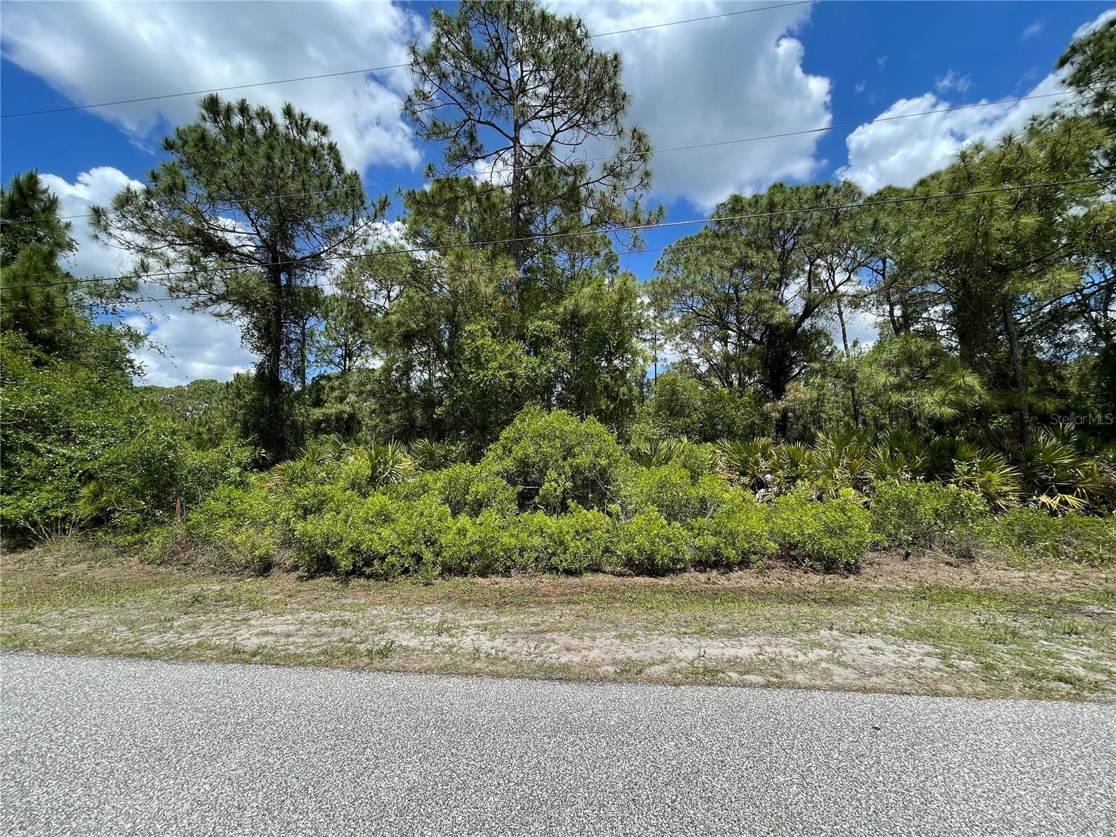 EDMISTON AVE, NORTH PORT, FL, 34291