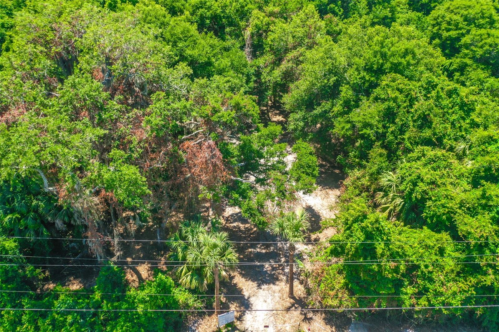4400 OCEAN SHORE BLVD, PALM COAST, FL, 32137