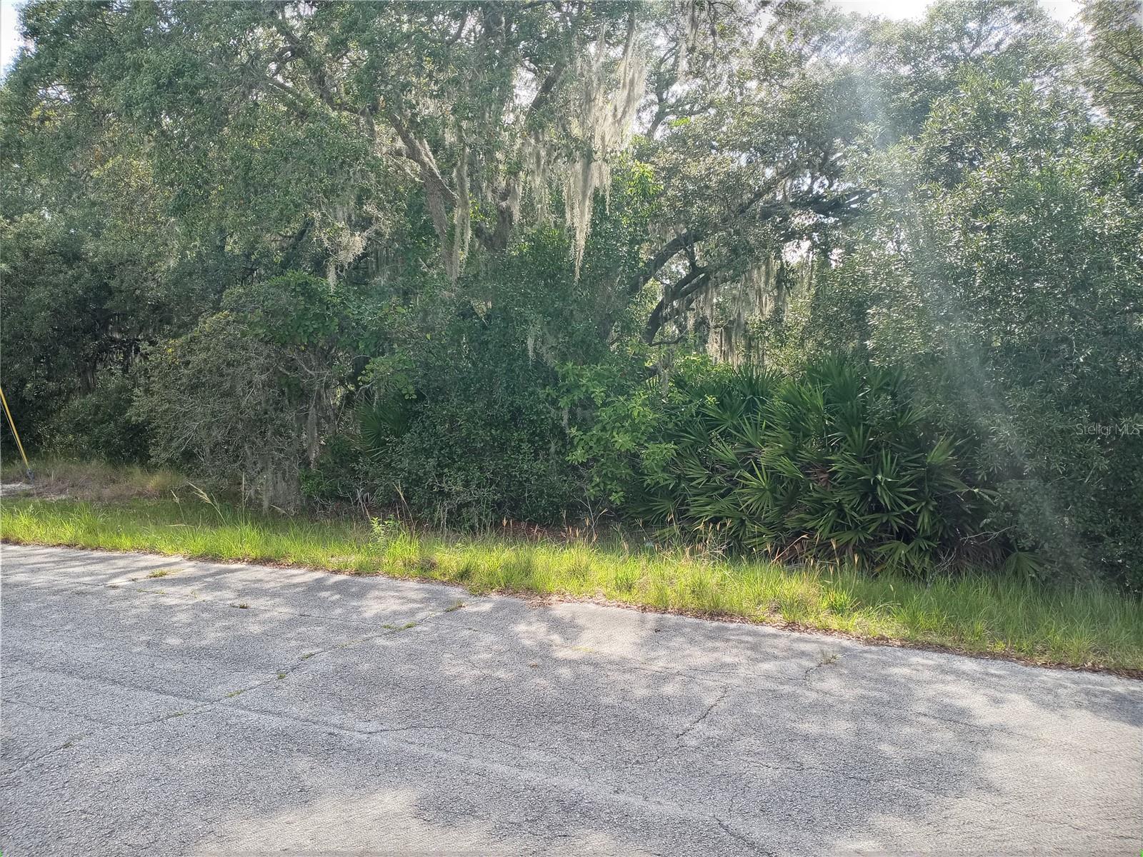 1417 PUNTA GORDA CT, KISSIMMEE, FL, 34759