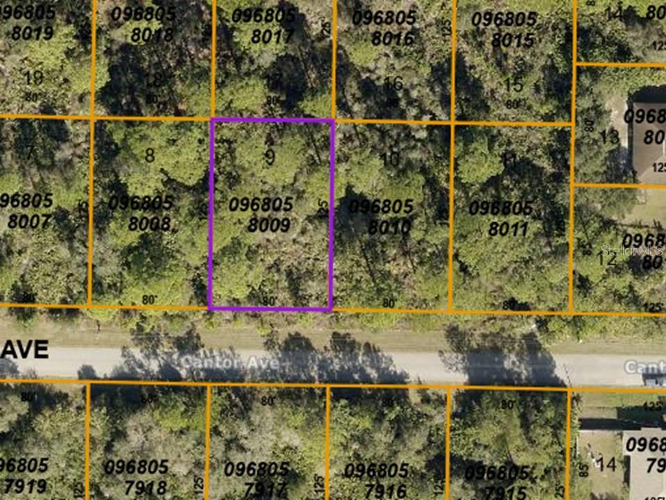 LOT 9 CANTOR AVE, NORTH PORT, FL, 34291
