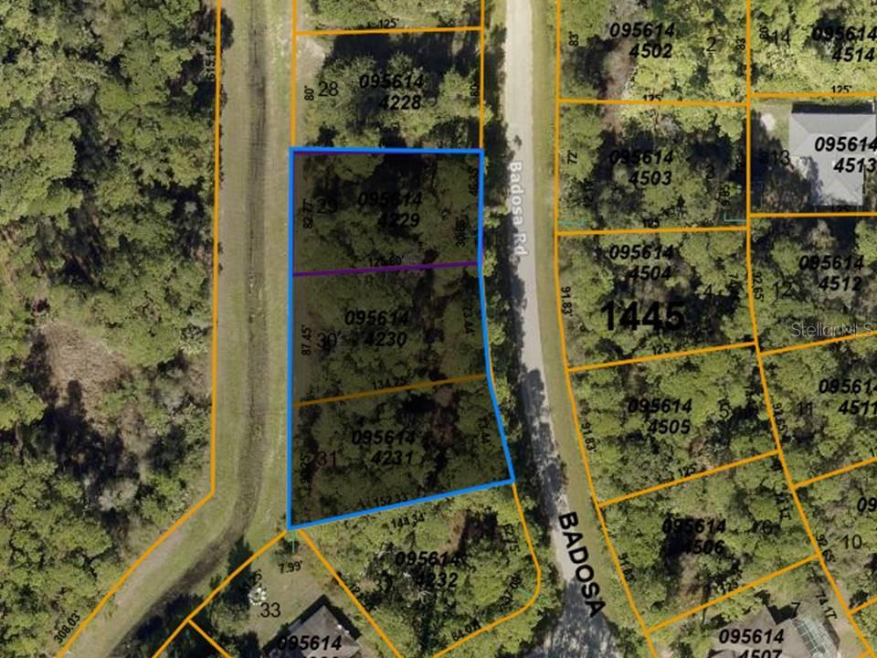 LOTS 29, 30 & 31 BADOSA RD, NORTH PORT, FL, 34286