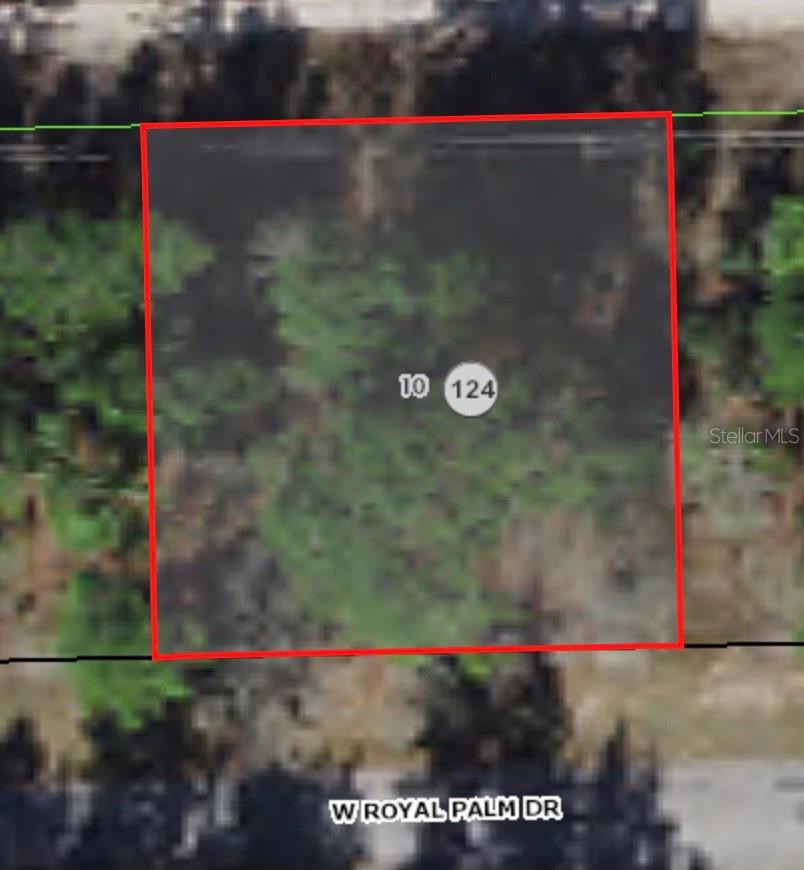 2671 W ROYAL PALM DR, CITRUS SPRINGS, FL, 34434