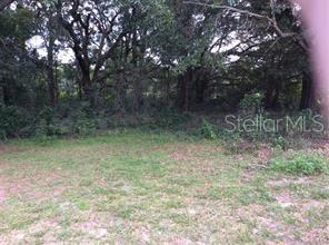 709 S ROOKS AVE, INVERNESS, FL, 34453